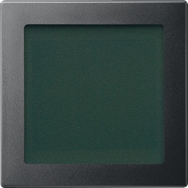 Central plate with window, anthracite, System M image 1