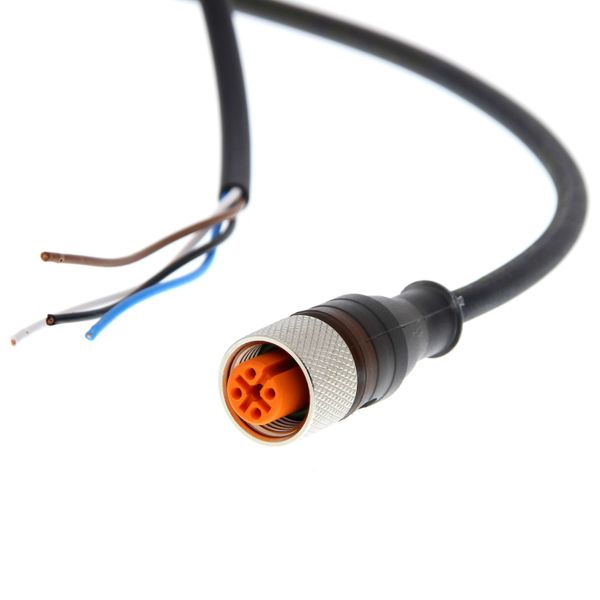 Sensor cable, M12 straight socket (female), 4-poles, PUR cable, 2 m image 2