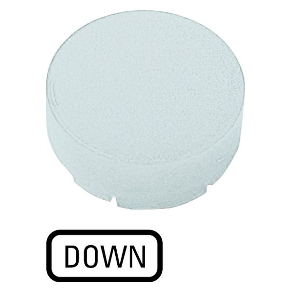 Button lens, raised white, DOWN image 1