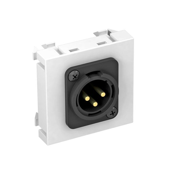 MTG-X3M S RW1 Multimedia support, XLR, 3-pin connector w. screw connection 45x45mm image 1