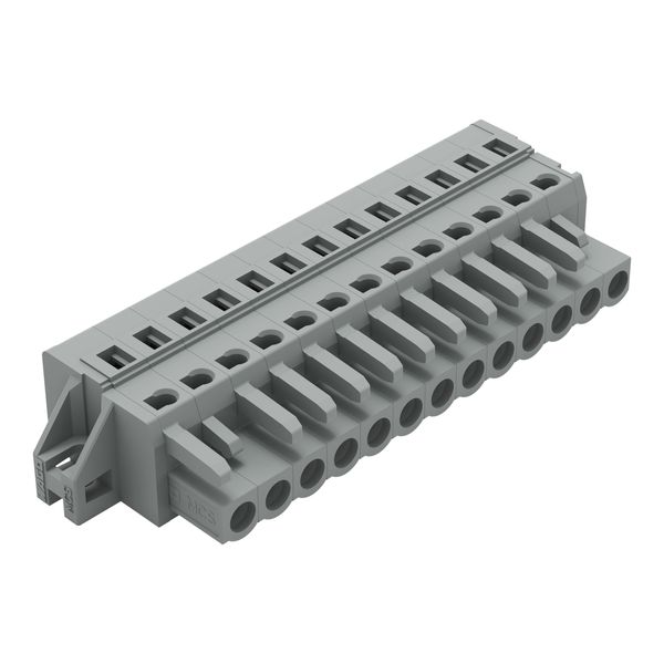 1-conductor female connector CAGE CLAMP® 2.5 mm² gray image 3