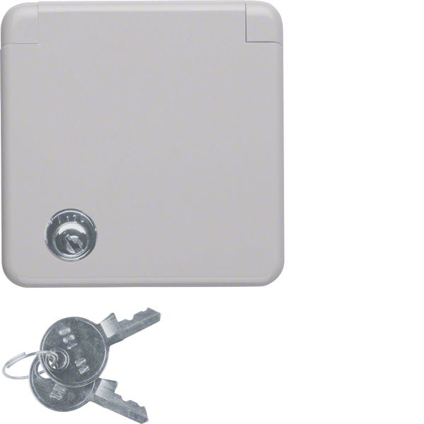 SCHUKO soc.out. cover plate+hinged cover,lock-differing lockings, flus image 1