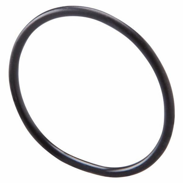 O-RING GASKET - FOR CLOSURE CAPS - M20 PITCH image 2