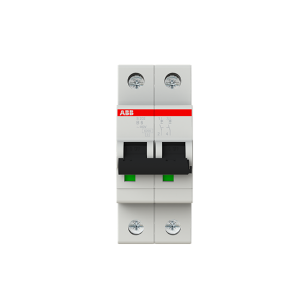 S202-B6 Miniature Circuit Breaker - 2P - B - 6 A image 6