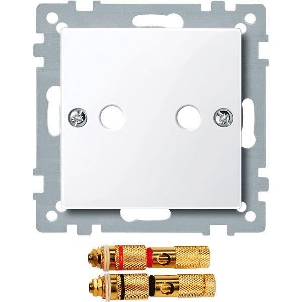 Central plate w. high-end loudspeaker connector, active white, glossy, System M image 1