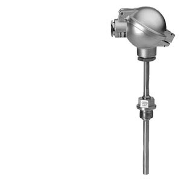 QAE3075.010 - Immersion temperature sensor 100 mm, DC 4...20 mA, direct immersion image 1