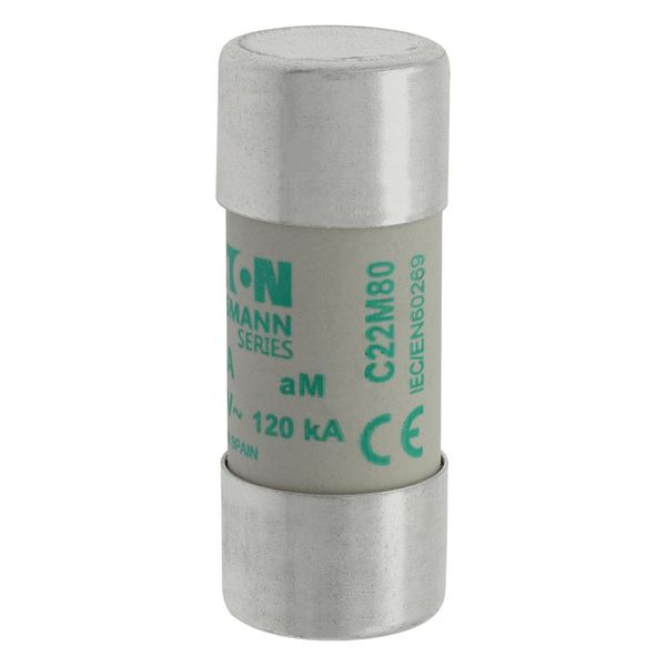 Fuse-link, LV, 80 A, AC 500 V, 22 x 58 mm, aM, IEC image 7