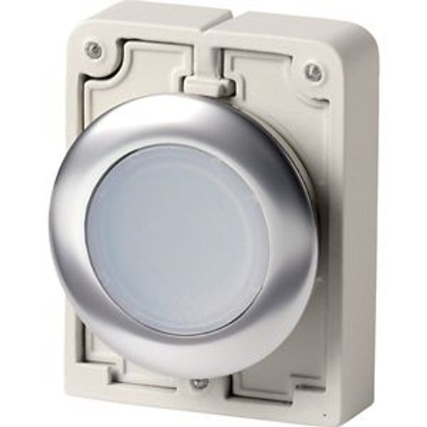 Illuminated pushbutton actuator, RMQ-Titan, flat, maintained, White, blank, Front ring stainless steel image 2