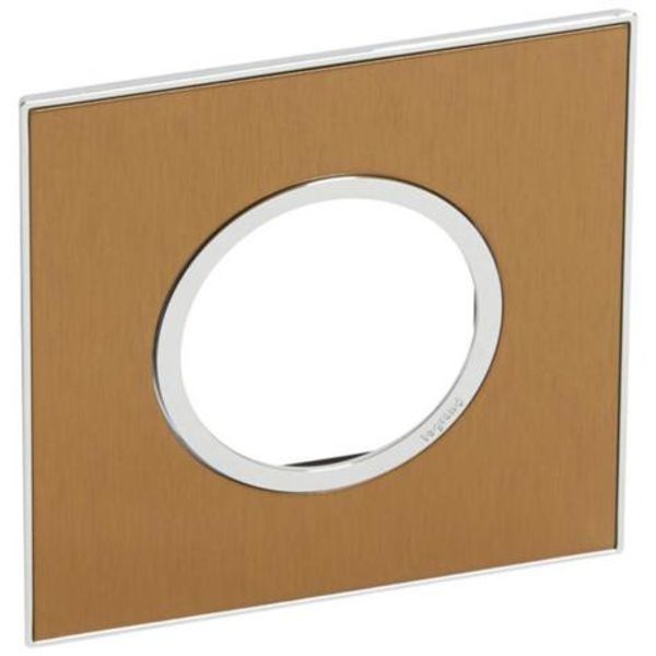 Arteor™ - Plate - French/German std - round - 2 or 2 x 1 modules - gold brass image 1