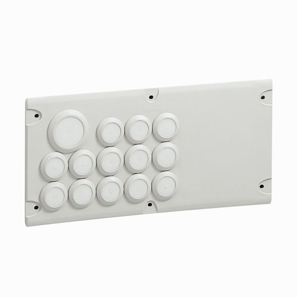 Open-work plate Cabstop - IP 55 - for Atlantic cabinets - 14 entries image 1