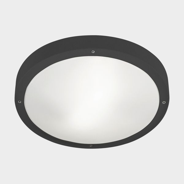 Ceiling fixture IP66 BASIC E27 E27 15;15W Urban grey image 1