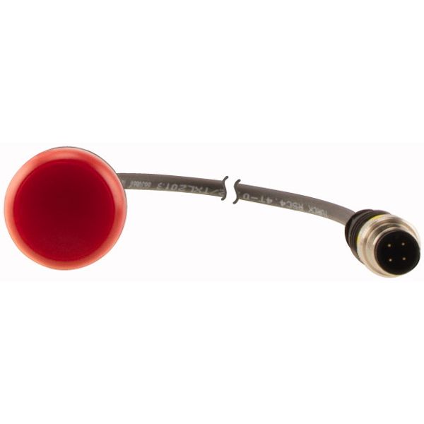 Indicator light, Flat, Cable (black) with M12A plug, 4 pole, 0.5 m, Lens Red, LED Red, 24 V AC/DC image 2