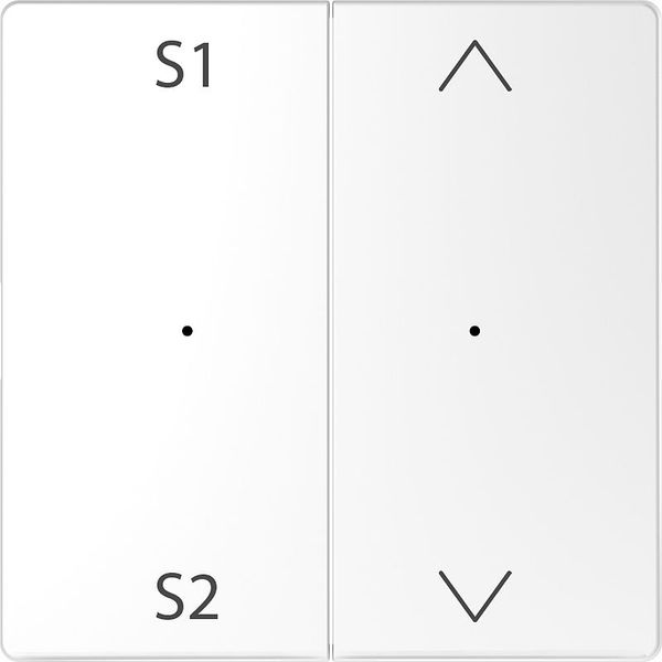 Rockers for button module 2-fold (scene 1/2, up/down), lotus white, system design image 1