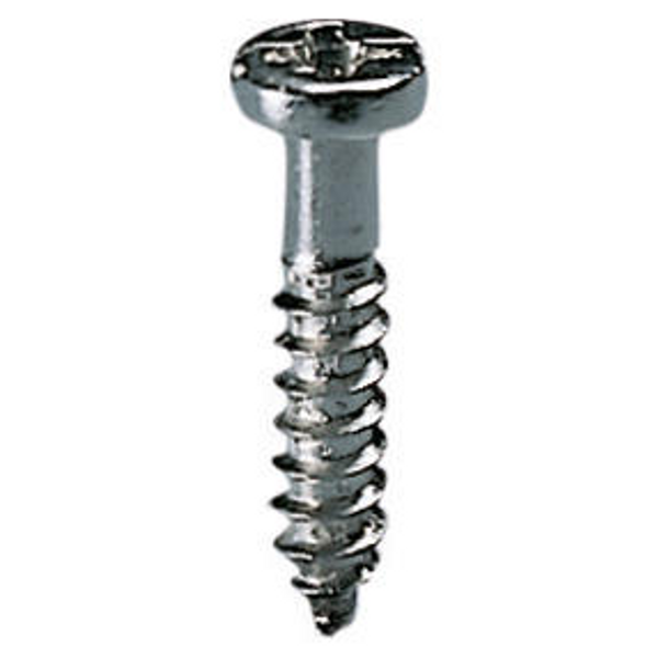 SELF-TAPPING SCREWS FOR FIXING THE DEVICES - TC 3,5X30 image 1
