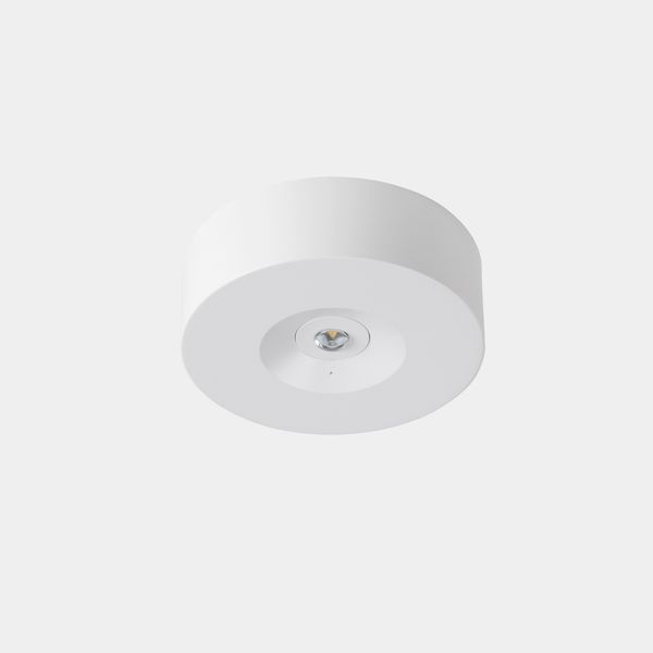 REDO emergency lighting, surface IP20 DALI White, 200lm-3h /Permanent+Self-testing image 1
