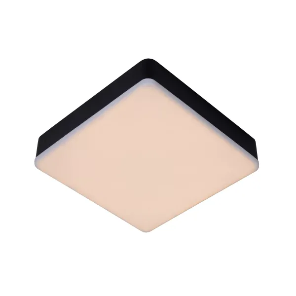 CERES Ceiling Light LED 30W L21.5 B21.5 H5cm Black image 1