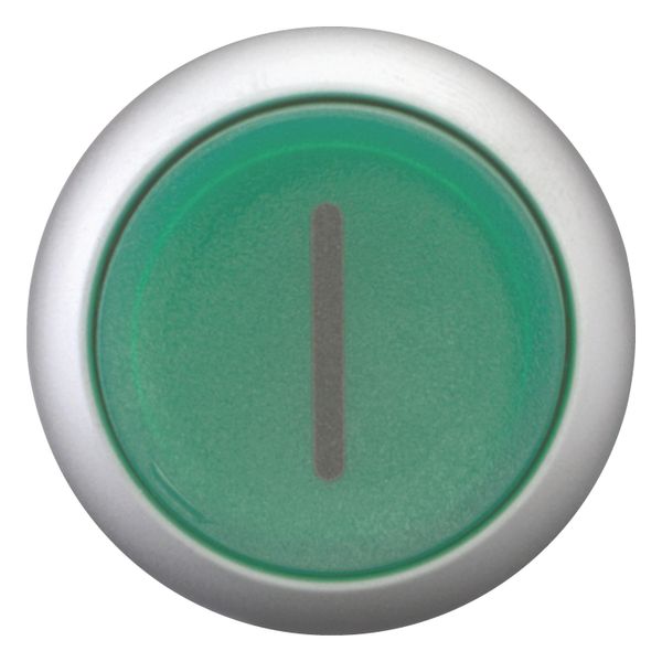 Illuminated pushbutton actuator, RMQ-Titan, Extended, maintained, green, inscribed, Bezel: titanium image 4