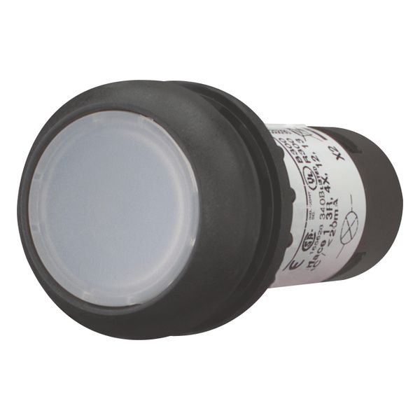 Illuminated pushbutton actuator, Flat, maintained, 1 N/O, Screw connection, LED white, White, Blank, 120 V AC, Bezel: black image 2