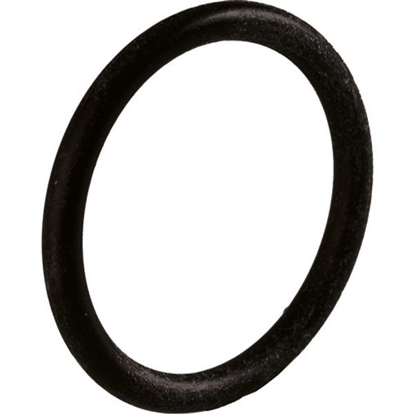 O-ring NBR 10.0 x 1.5  image 1