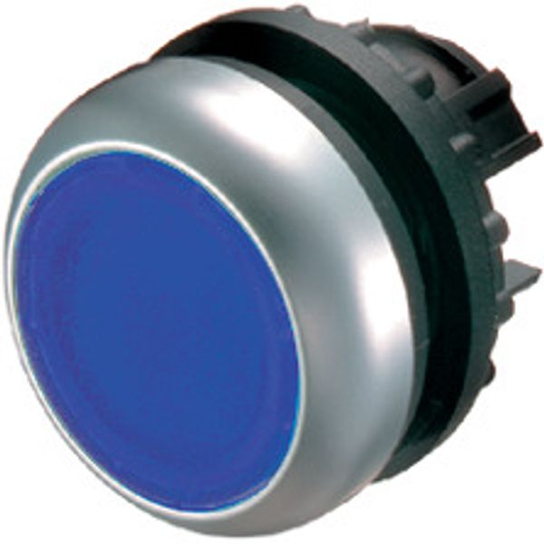 Illuminated pushbutton actuator, RMQ-Titan, Flush, momentary, Blue, Blank, Bezel: titanium image 1