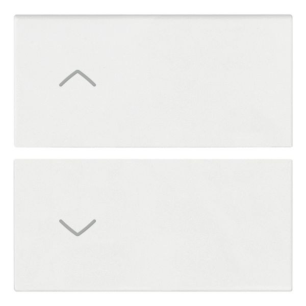 2 half buttons 2M arrows symbol white image 1