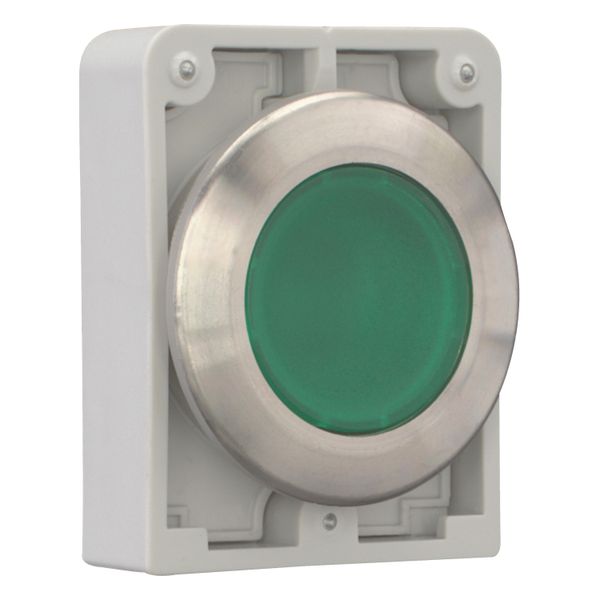 Illuminated pushbutton actuator, RMQ-Titan, flat, momentary, green, blank, Front ring stainless steel image 8