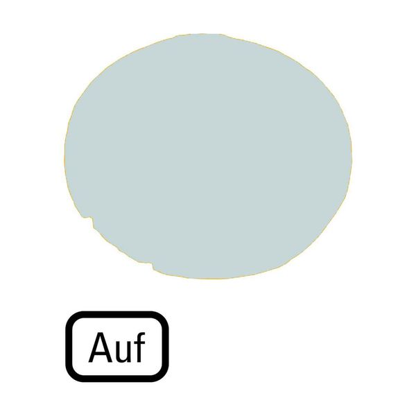 Button lens, flat white, AUF image 6