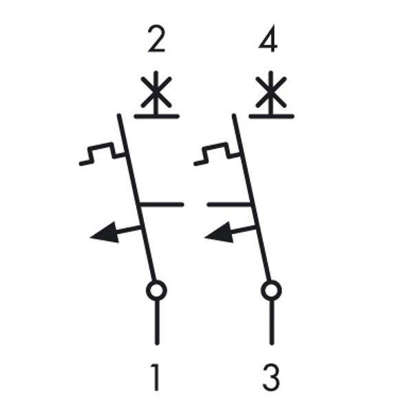 Miniature Circuit Breaker (MCB) C, 16A, 2-pole, 40ø C, 10kA image 3