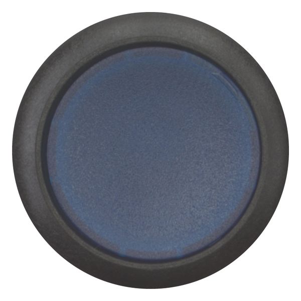 Illuminated pushbutton actuator, Flat, momentary, 1 N/O, Screw connection, LED Blue, Blue, Blank, 230 V AC, Bezel: black image 10