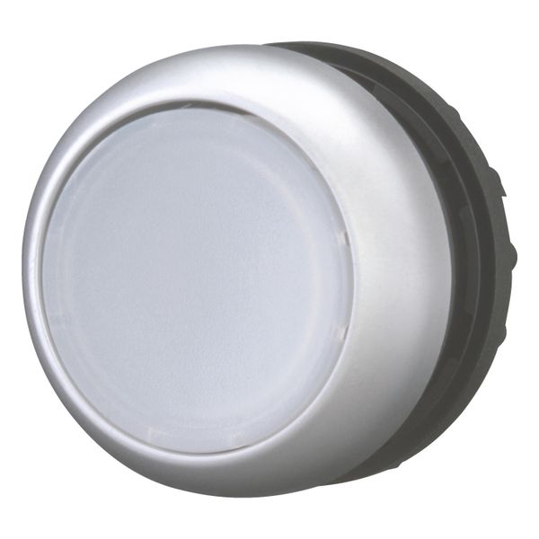 Illuminated pushbutton actuator, RMQ-Titan, Flush, maintained, White, Blank, Bezel: titanium image 2