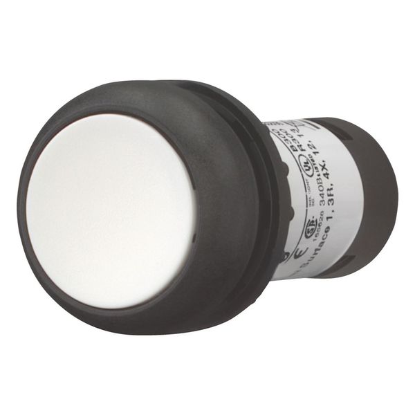 Pushbutton, Flat, momentary, 1 N/O, Screw connection, White, Blank, Bezel: black image 5