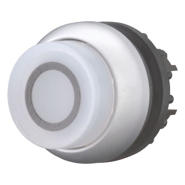 Illuminated pushbutton actuator, RMQ-Titan, Extended, maintained, White, inscribed 0, Bezel: titanium image 12