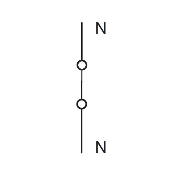 Neutral Conductor Feed-through Module, 63A, 1MW image 2