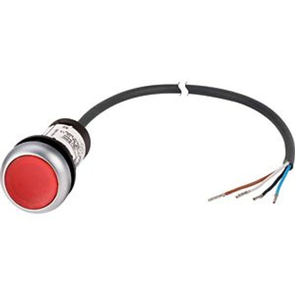 Illuminated pushbutton actuator, Flat, momentary, 1 NC, Cable (black) with non-terminated end, 4 pole, 1 m, LED Red, red, Blank, 24 V AC/DC, Bezel: ti image 5