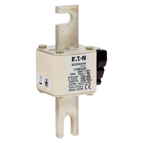 Fuse-link, high speed, 250 A, AC 690 V, DIN 1, 53 x 69 x 138 mm, aR, DIN, IEC, single indicator image 18