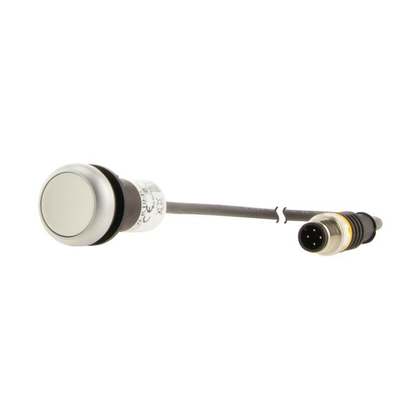 Pushbutton, Flat, momentary, 1 N/O, Cable (black) with M12A plug, 4 pole, 0.5 m, White, Blank, Bezel: titanium image 12