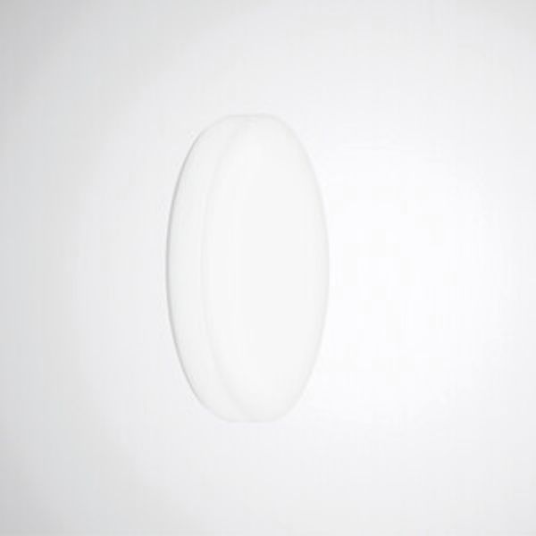 Wall and ceiling luminaire Olisq R Diffuser White around ET 26W 3000lm Lambertian (L) IP40 IK06 3 SDCM image 1