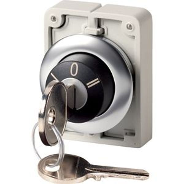 Key-operated actuator, Flat Front, maintained, 3 positions, Ronis 455, Key withdrawable: 0, Bezel: stainless steel image 2