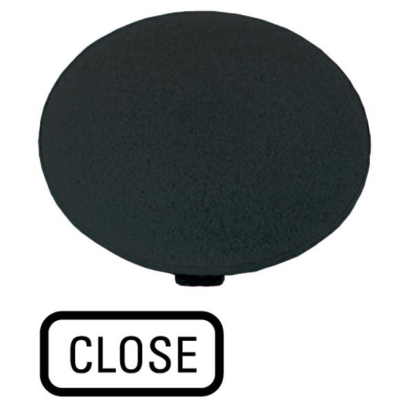 Button plate, mushroom black, CLOSE image 1