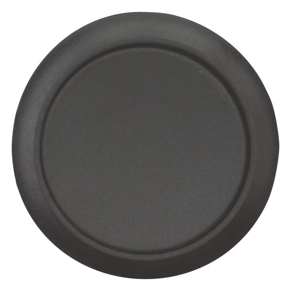 Pushbutton, Flat, maintained, 1 NC, 1 N/O, Screw connection, black, Blank, Bezel: black image 9