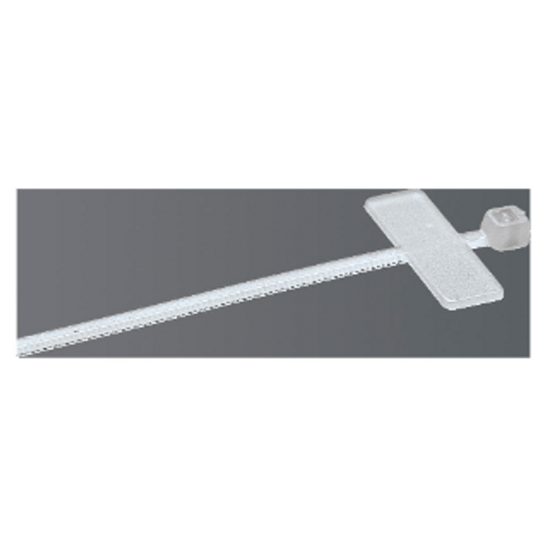 CABLE TIE - WITH IDENTIFICATION TAG - 2,5X110 - COLOURLESS image 1