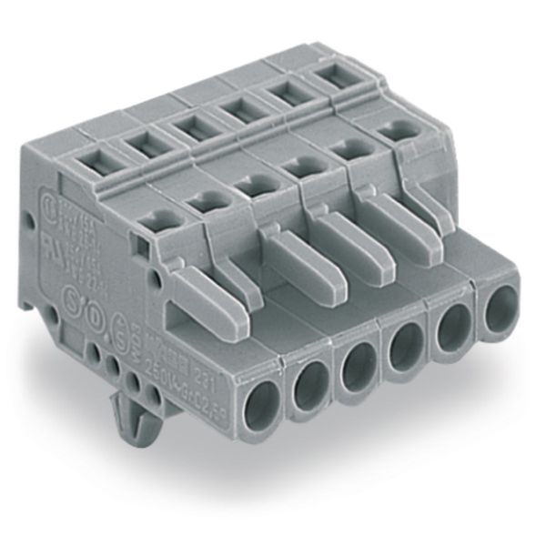 1-conductor female connector CAGE CLAMP® 2.5 mm² gray image 4