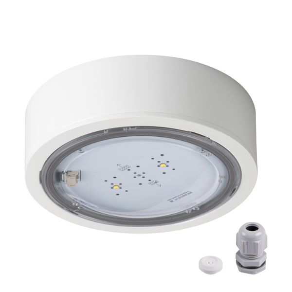 ITECH M5 305 M AT W   Nouzové svítidlo LED - Individuální objednávka image 1