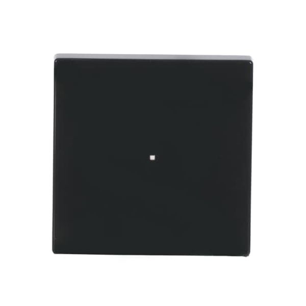 SR-1-81 Electronic Controls free@home anthracite - 63x63 image 3