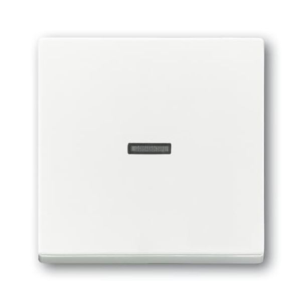 1789 N-84 CoverPlates (partly incl. Insert) future®, Busch-axcent®, solo®; carat® Studio white image 2