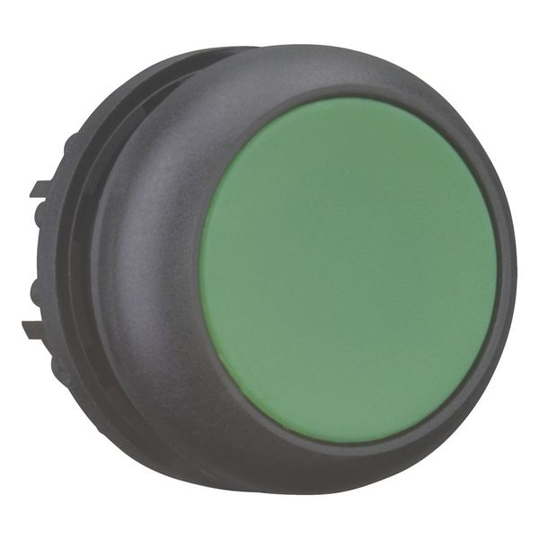 Pushbutton, RMQ-Titan, Flat, momentary, green, Blank, Bezel: black image 7