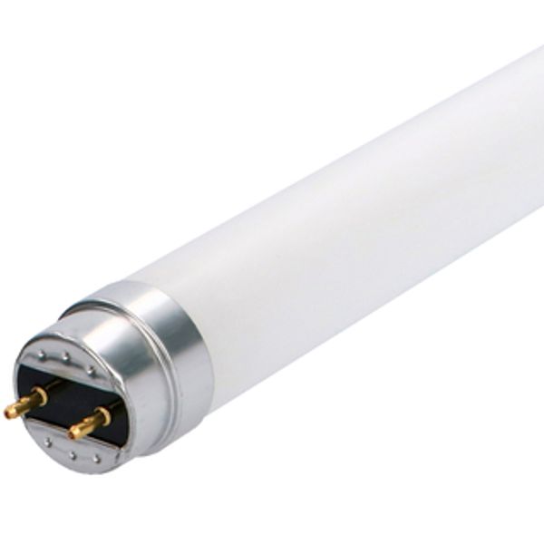 LED TL Tube - T8 120cm G13 14W 2100lm 6500K Frosted 190°  image 1