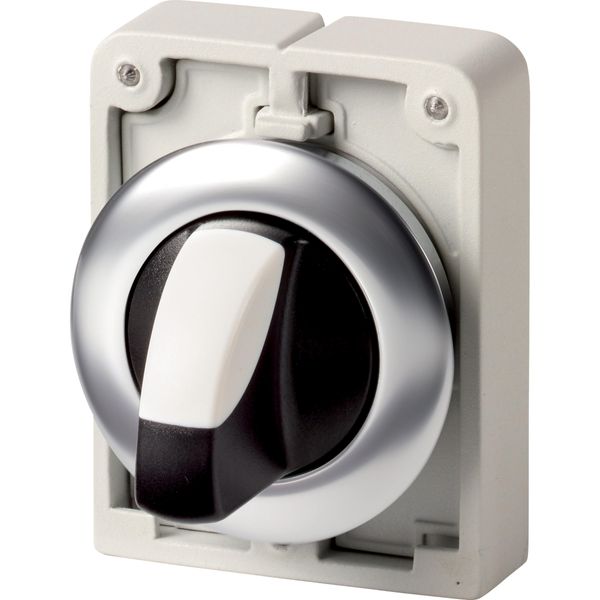 Changeover switch, RMQ-Titan, with thumb-grip, maintained, 2 positions (V position), Front ring stainless steel image 5