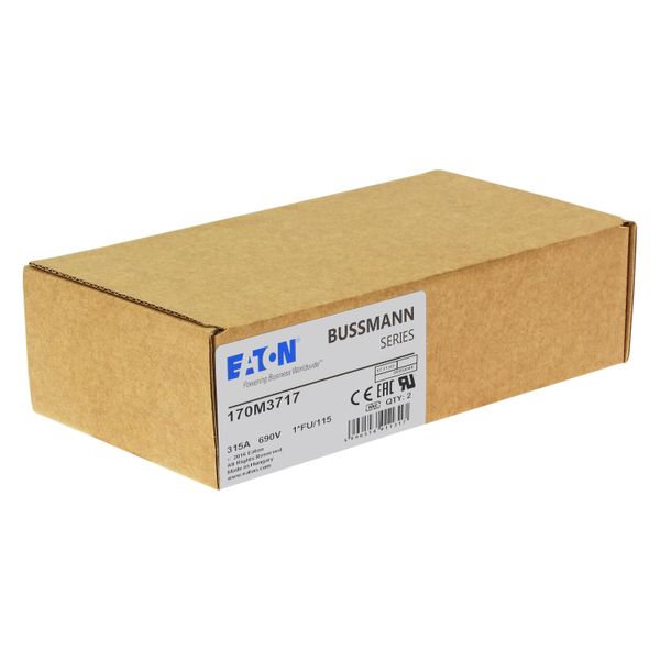 Fuse-link, high speed, 315 A, AC 690 V, compact size 1, 45 x 45 x 148 mm, aR, IEC, UL image 10