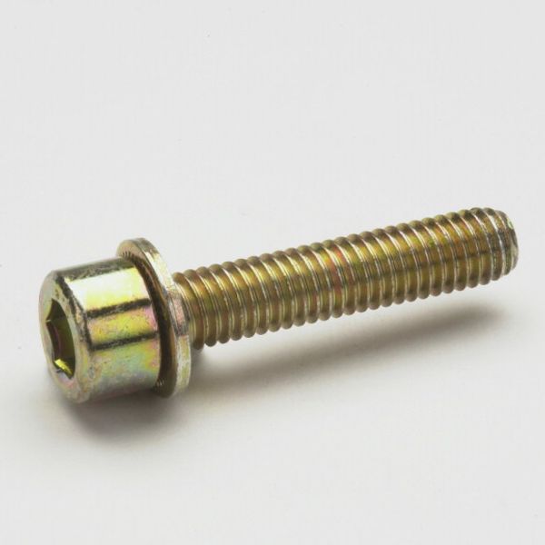 Hexagon socket head cap Screw M6 x 40 image 1